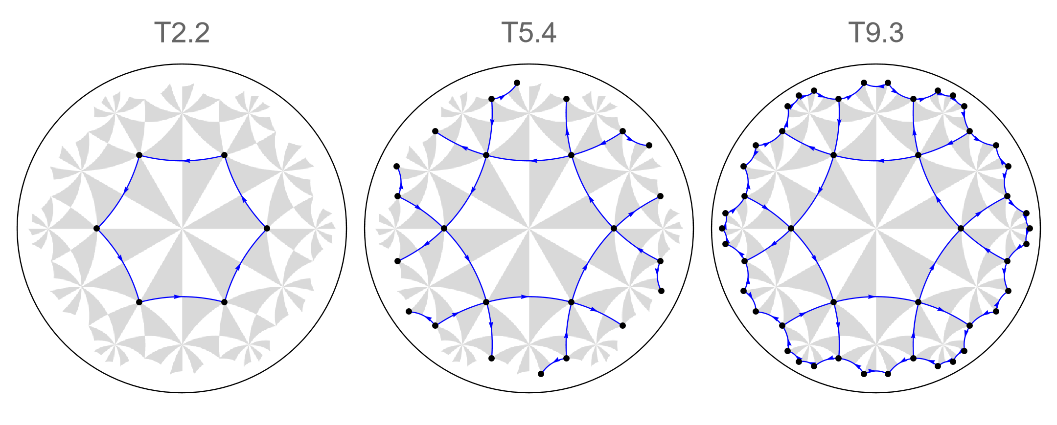 Vertices tessellation model {6,4}-lattice